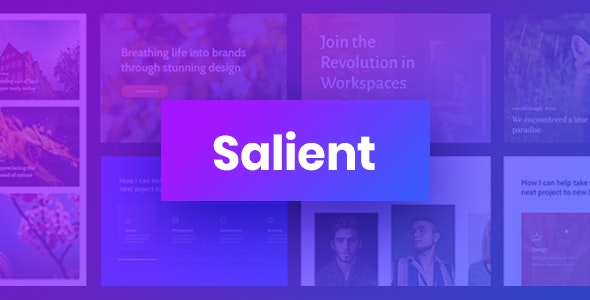 Salient主题